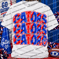 Red and Blue GATORS GATORS GATORS with Heart